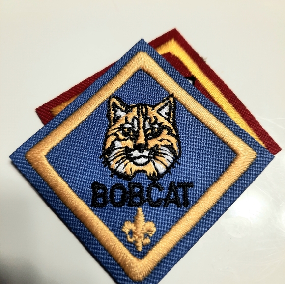 North Florida Boy Scout Patches NF Counsil 20 Wolf Bobcat Wolf Pin 2014 Badges - Picture 4 of 5